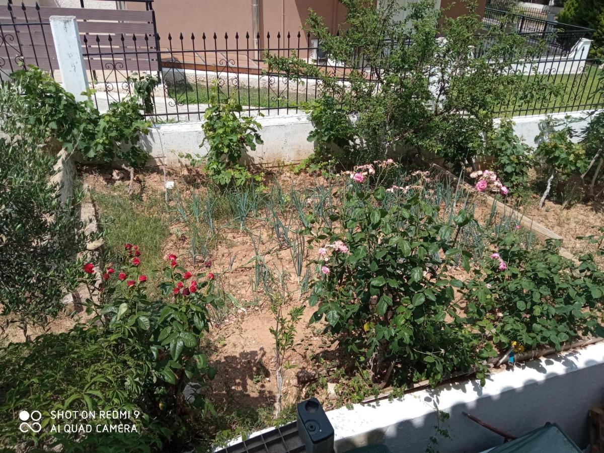 Bella-Caza Apartment Makri Exterior photo